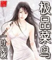 极品菜鸟