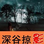 杀出丛莽:深谷掠影