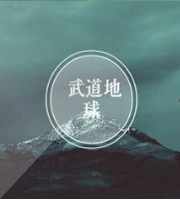 武道地球