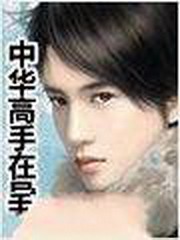 中华高手在异世