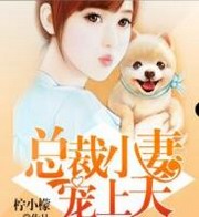 总裁小妻宠上天