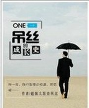 一个屌丝的成长史