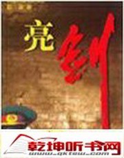 亮剑(李雷版)