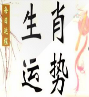 智富哥：十二生肖运势播报