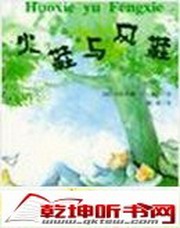 火鞋与风鞋