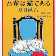 我是猫