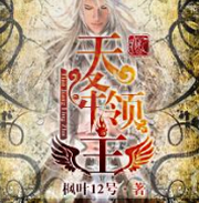 天降领主