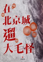 在北京城遛大毛怪