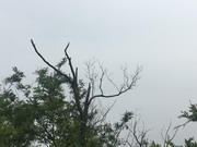 第一次世界大战