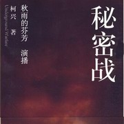 秘密战