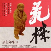 飞机
