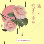 遇见,终不能幸免