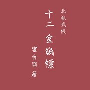 十二金钱镖